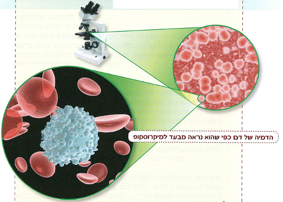 (בספר תמונה:) הדמיה של דם כפי שהוא נראה מבעד למיקרוסקופ